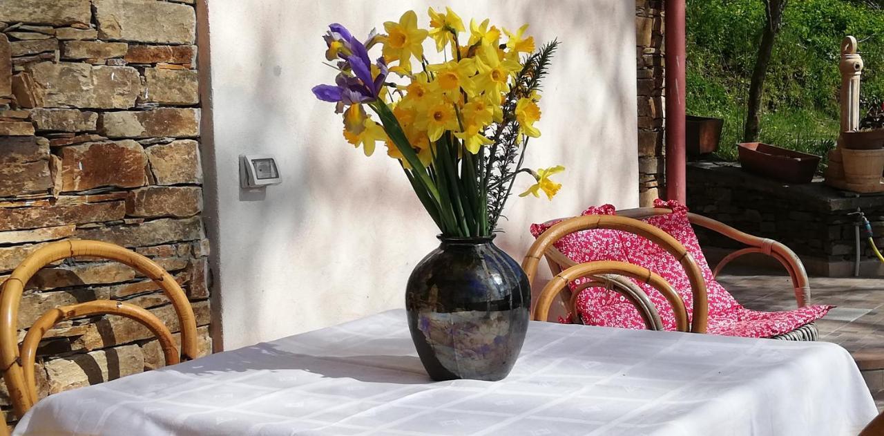 Agrifoglio Con Giardino Bed & Breakfast *