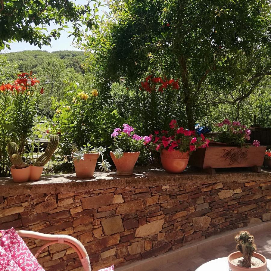 Agrifoglio Con Giardino Bed & Breakfast *