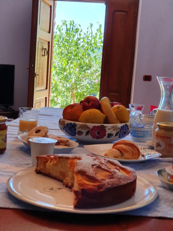 Agrifoglio Con Giardino *