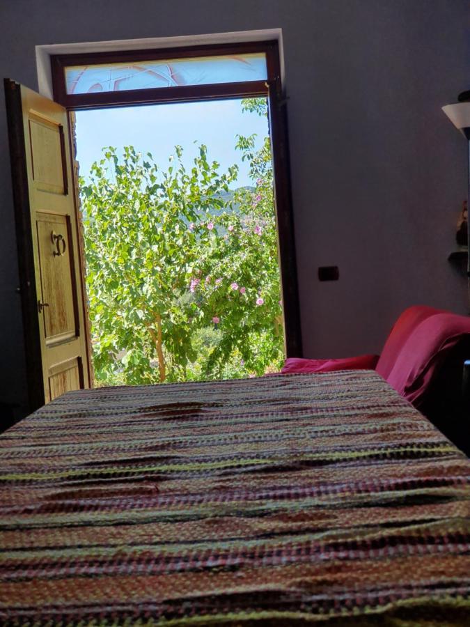 Agrifoglio Con Giardino *