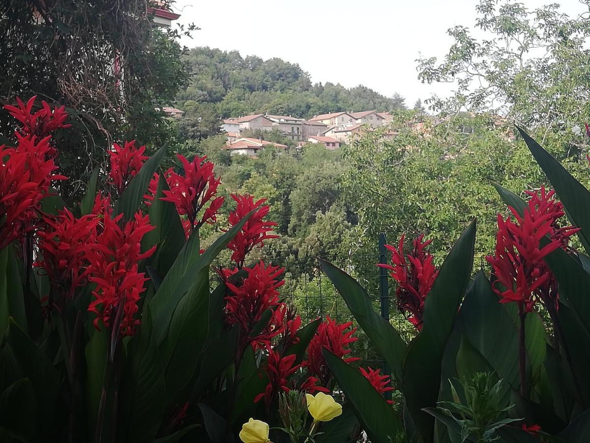Agrifoglio Con Giardino Bed & Breakfast *