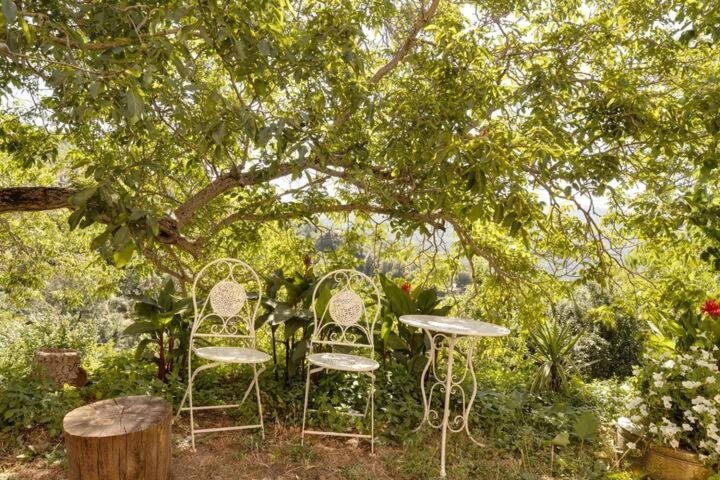 Agrifoglio Con Giardino Bed & Breakfast Aritzo
