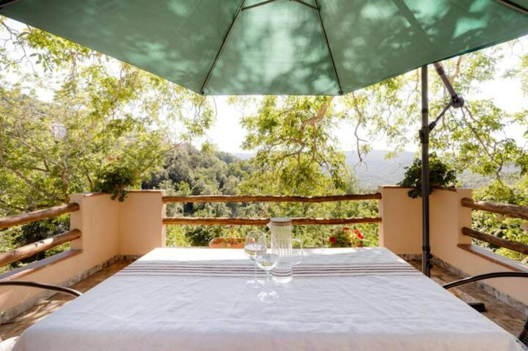 Agrifoglio Con Giardino Bed & Breakfast *