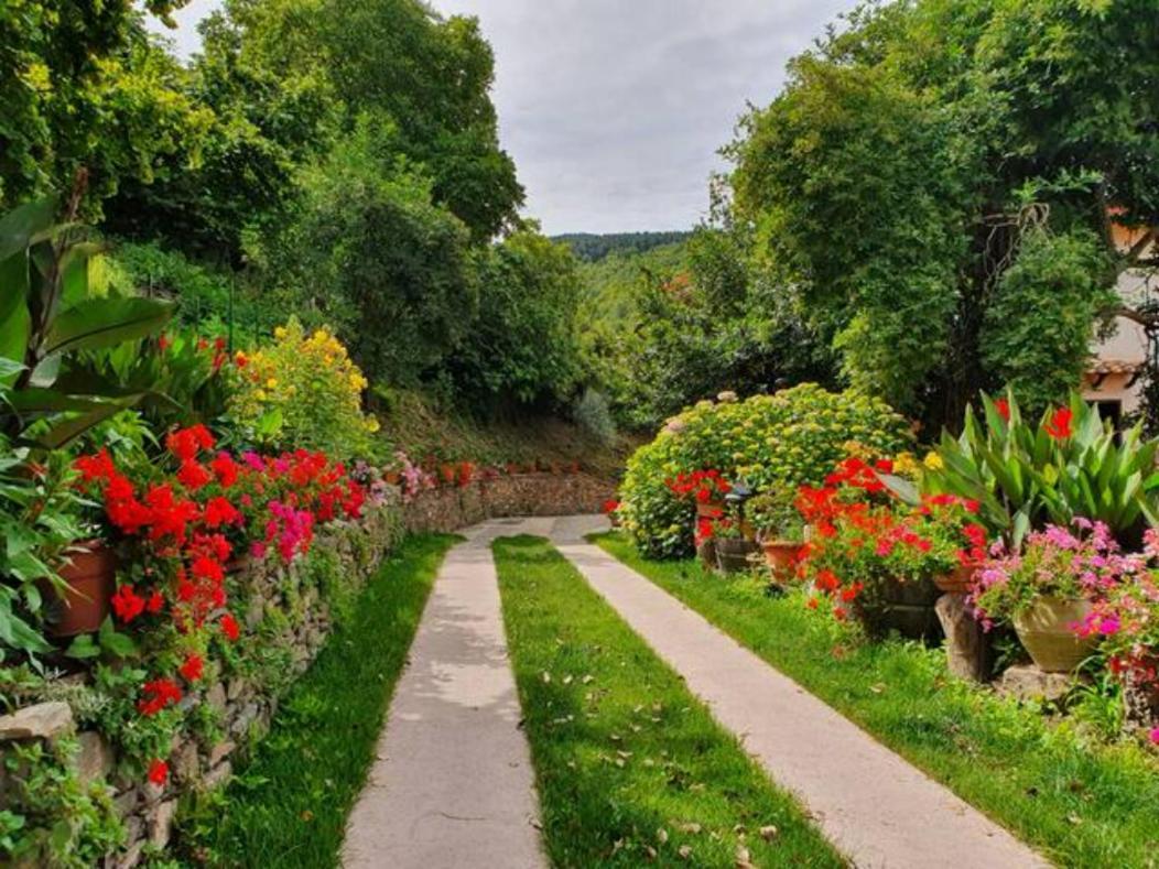 Bed & Breakfast Agrifoglio Con Giardino *