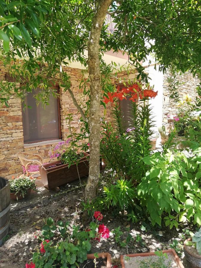 Agrifoglio Con Giardino * Aritzo